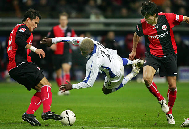 却可以提供 却可以提供