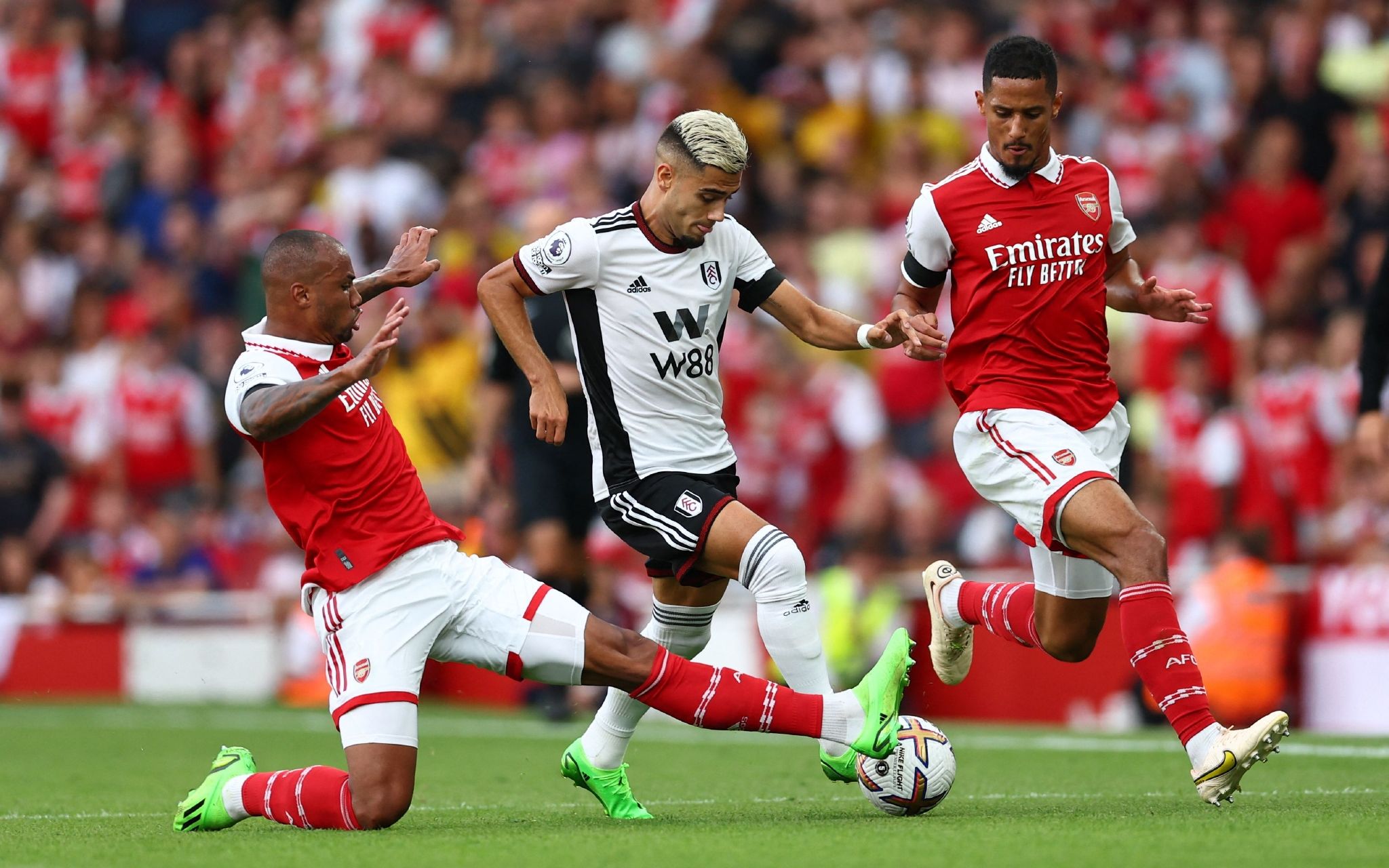 媒体粉丝基 媒体粉丝基